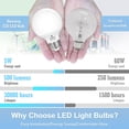 thumbnail image 4 of Bombillas LED tipo globo Hansang G25, 9 W, 5000 K, luz diurna, paquete de 4, 4 of 7