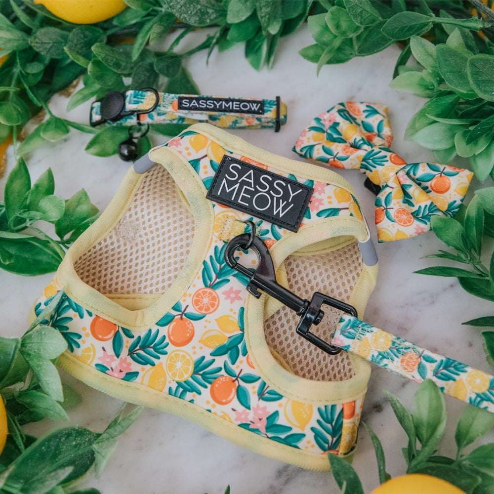 Sassy Meow Cat Step-In Harness Extra Small - Zest Friends