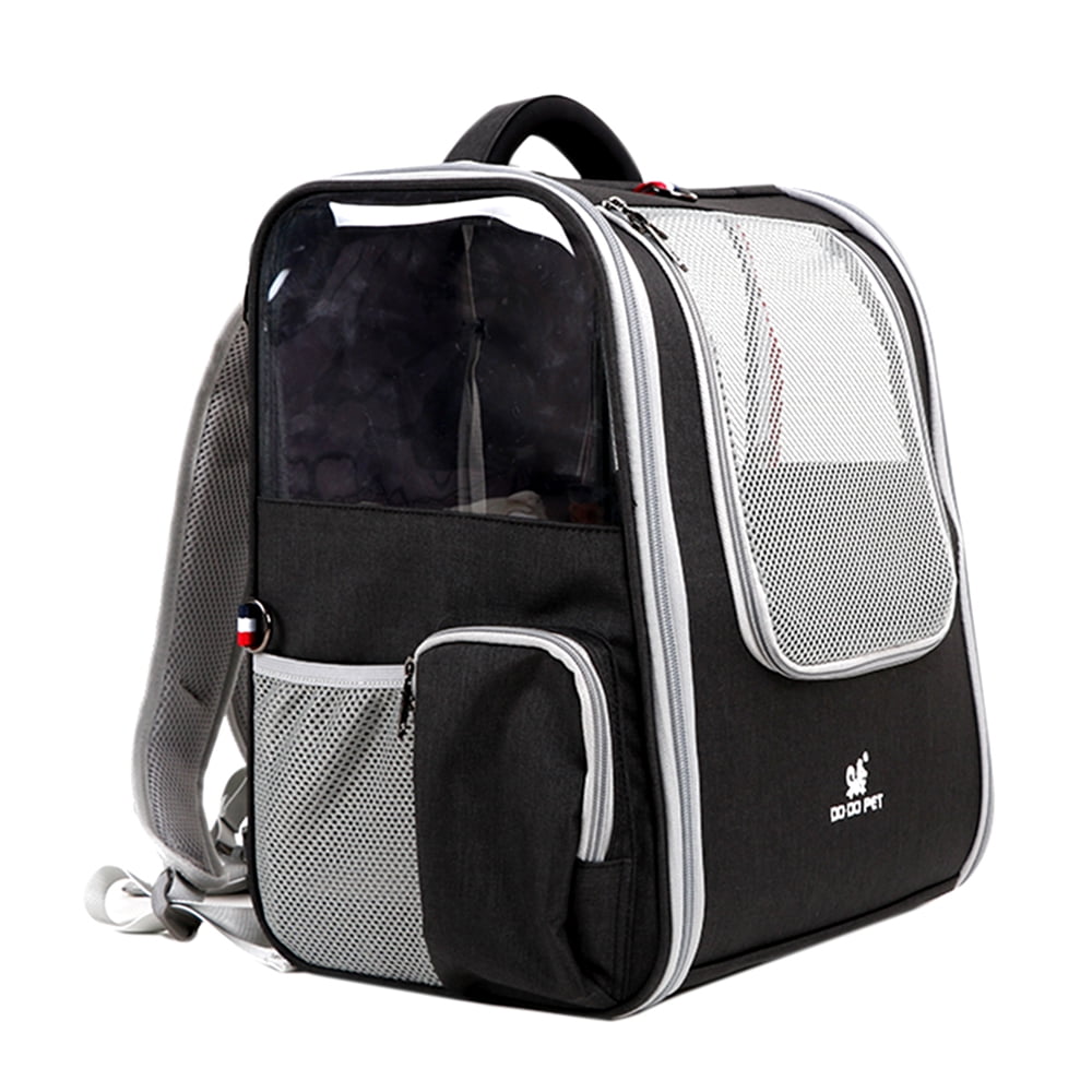 cat walking backpack