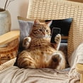 thumbnail image 4 of Cat Pattern Decorative Pillow Cover 18x18 Inch, Soft Square Throw Pillow Case with Hidden Zipper for Couch, Sofa, Bed, Home Decor (1 Piece), 4 of 5