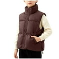 thumbnail image 2 of Abrigo y chaquetas casuales sin mangas y sin capucha de color sólido para niños, abrigo cálido sin mangas, chaqueta de polar, abrigo mediano a grande resistente al sudor para jóvenes, blusa de poliést, 2 of 8