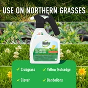 Roundup For Lawns1 with QuickHand Sprayer, Weed Killer for Use on Northern Grasses, 1.5L