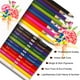 thumbnail image 2 of Lápices de colores KALOUR Premium, 240 unidades, 12 colores surtidos, 2 of 7
