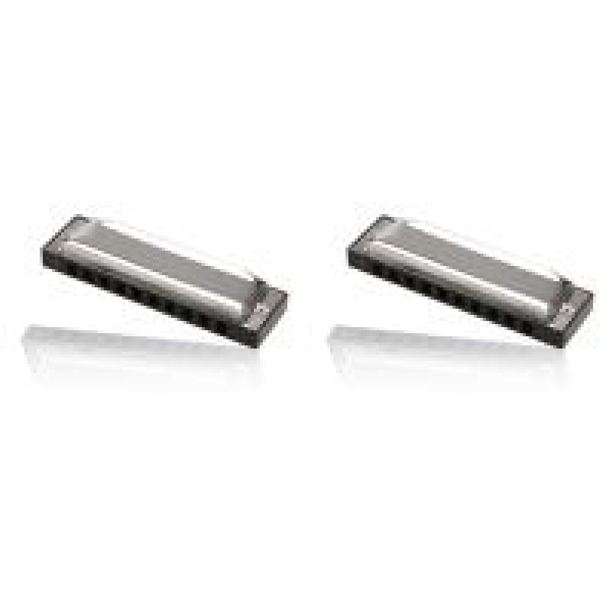 Armónica de blues de 10 agujeros y 20 tonos con caja, órganos bucales de metal para principiantes