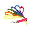 thumbnail image 3 of Coastal Single-Ply Nylon Dog Leash Blue 1ea/3/4 In X 6 ft, 3 of 3
