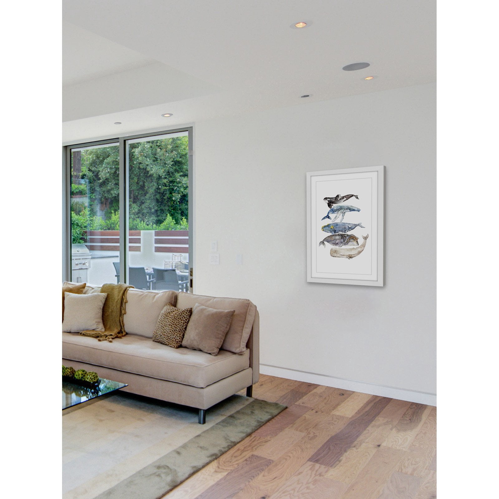 Marmont Hill "Whale Species" by Rachel Byler Framed Painting Print