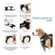 thumbnail image 5 of Arnes Para Perros Cinta Reflejante Viajes Y Paseo Perros 4pz, 5 of 8