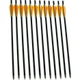 thumbnail image 2 of KY 12pcs 22" Carbon Shaft Bio Crossbow Bolts Arrows Screw-in Removable Arrowhead Moon Nocks for Archery Hunting, 2 of 6