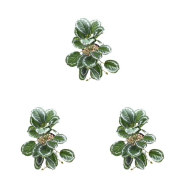 Bewildely Plantas De Terrario Tropical De Plástico - Frescura Y Elegancia Para El Hogar Plantas Decoraciones Artificiales Hoja De Pavo Real Type1 NO1