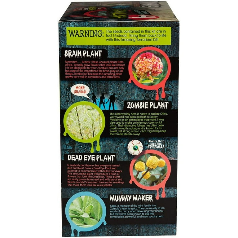  Zombie Plant Greenhouse Grow KIT- (Touch It and It Plays  Dead!) Unique Nature Kit- Grow a Fun House Plant That Plays Dead When You  Touch It! Comes Back to Life