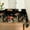 Black, variant on Mushroom Tablecloth 60x60 Inch Square, Black Seasonal Vintage Washable Seasonal Table Cover for Party Picnic Dinner Decor