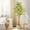 Red, variant on Ourlova 6FT Artificial Lemon Tree-Fake Lemon Plant with Lights-Faux Lemon Tree with Realistic Trunk and Fruits-Suitable for Indoor Home Decoration Balcony Living Room