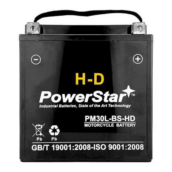PowerStar Replacement for ETX30LA Group BTX30L AGM Ready-To-Ride Power Sport Battery 380 CCA