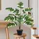 thumbnail image 1 of Plantas Artificiales de Interior con Macetas, Follaje Verde Realista, Ramas Ajustables, Impermeables, Adecuadas para Decoración de Hogar u Oficina, 65cm/25.59in, 1 of 6