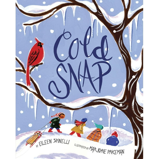 Cold Snap eBook