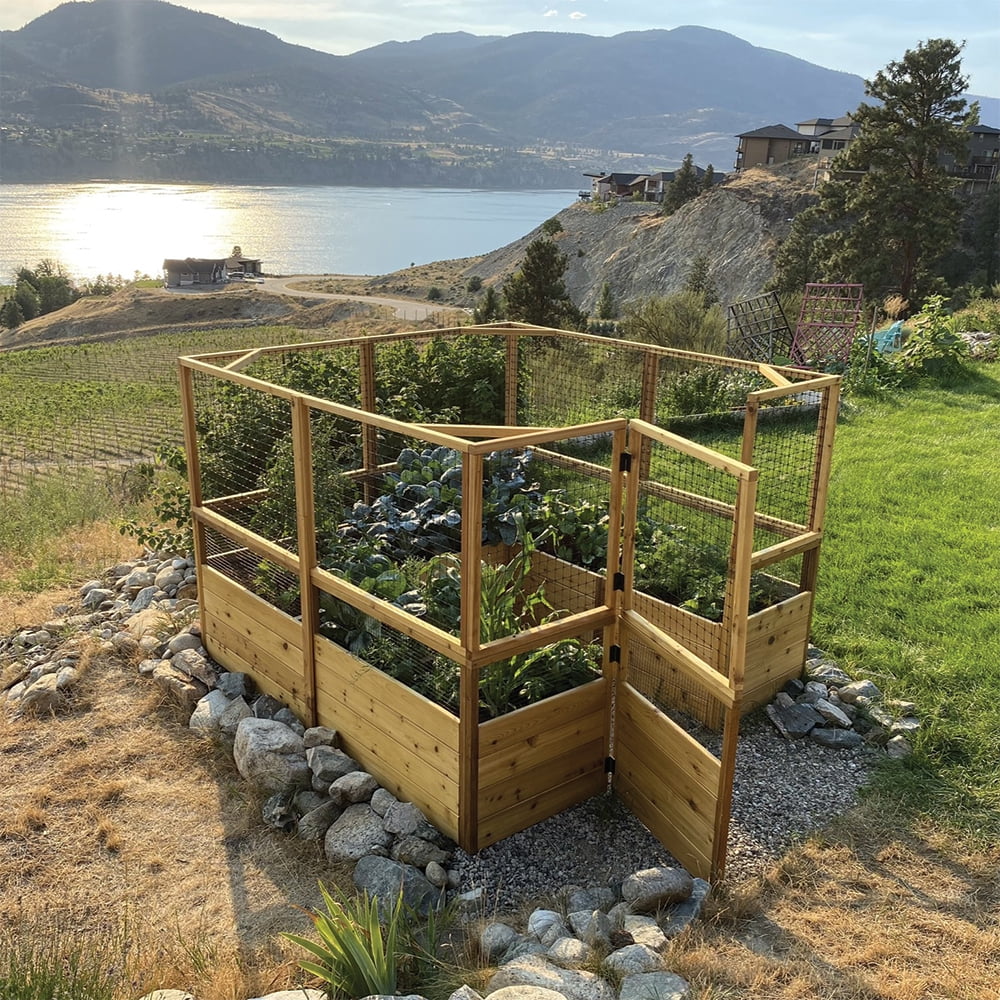 Outdoor Living Today 8x8 Western Red Cedar Raised Garden Bed with Deerfence