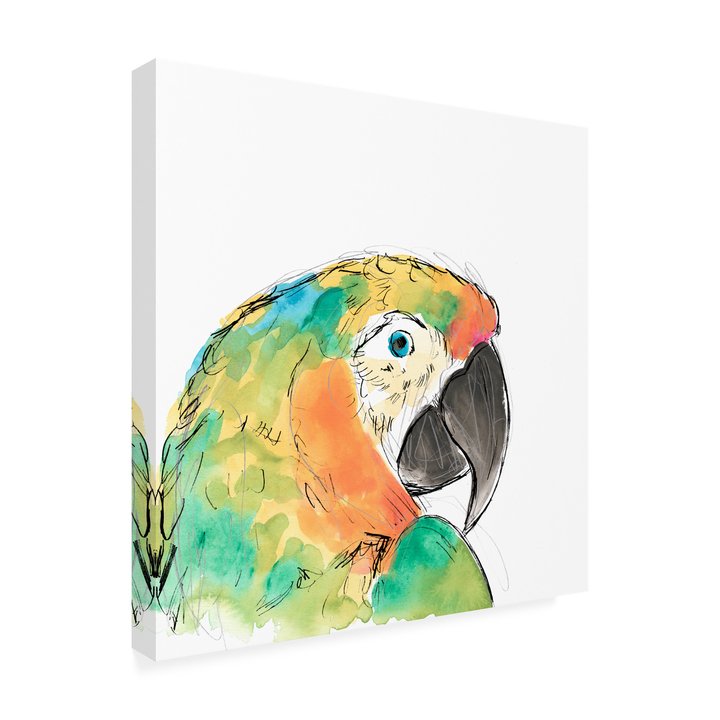June Erica Vess 'Tropical Bird Portrait IV' Canvas Art
