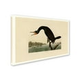 thumbnail image 2 of Trademark Fine Art 'Florida Cormorantplate 252' Canvas Art by Audubon, 2 of 3