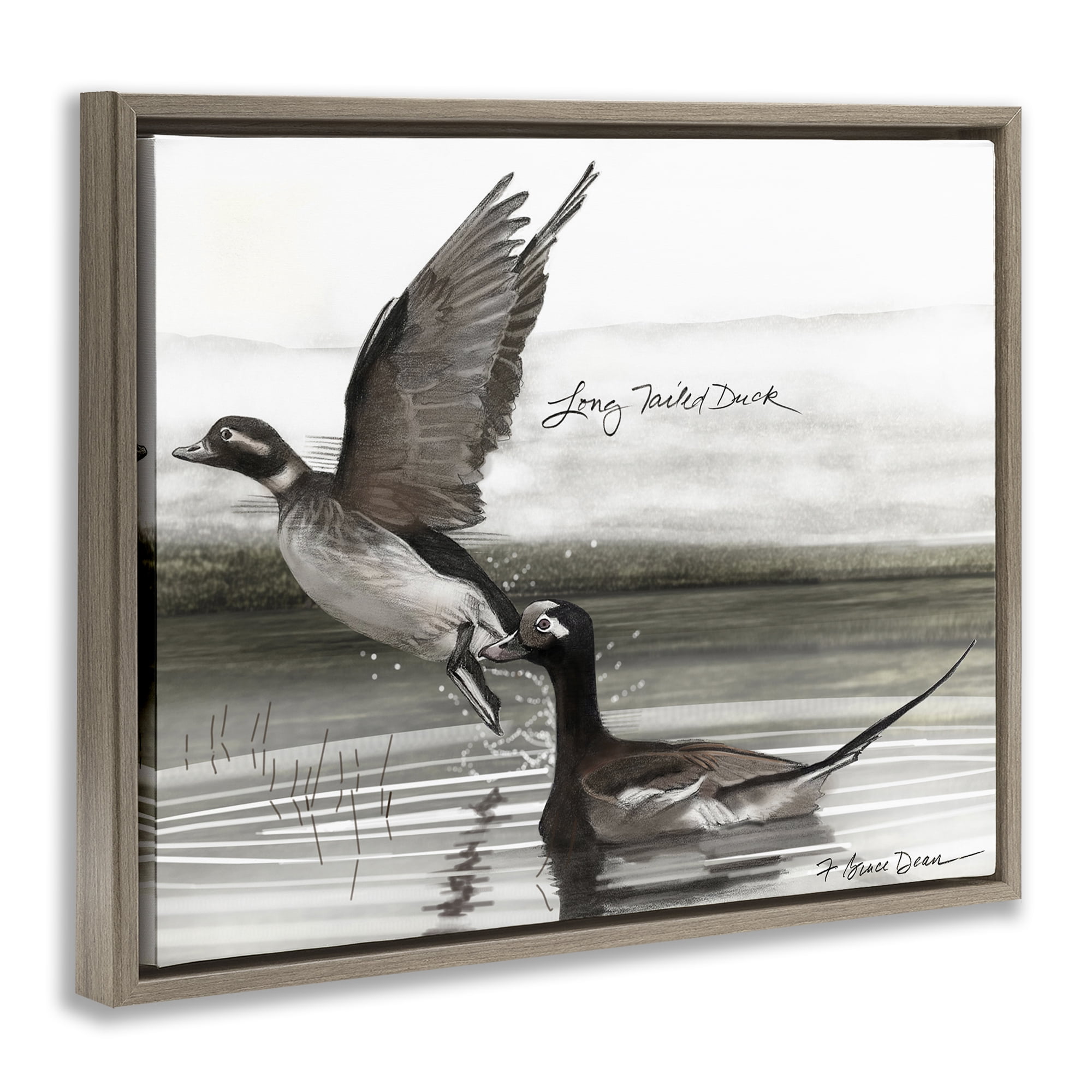 Stupell Industries Long Tailed Duck Animals & Insects Painting Brown Floater Framed Canvas Art Print Wall Art, 31 x 25