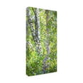 thumbnail image 4 of Mandy Budan 'Hide And Seek' Canvas Art, 4 of 4