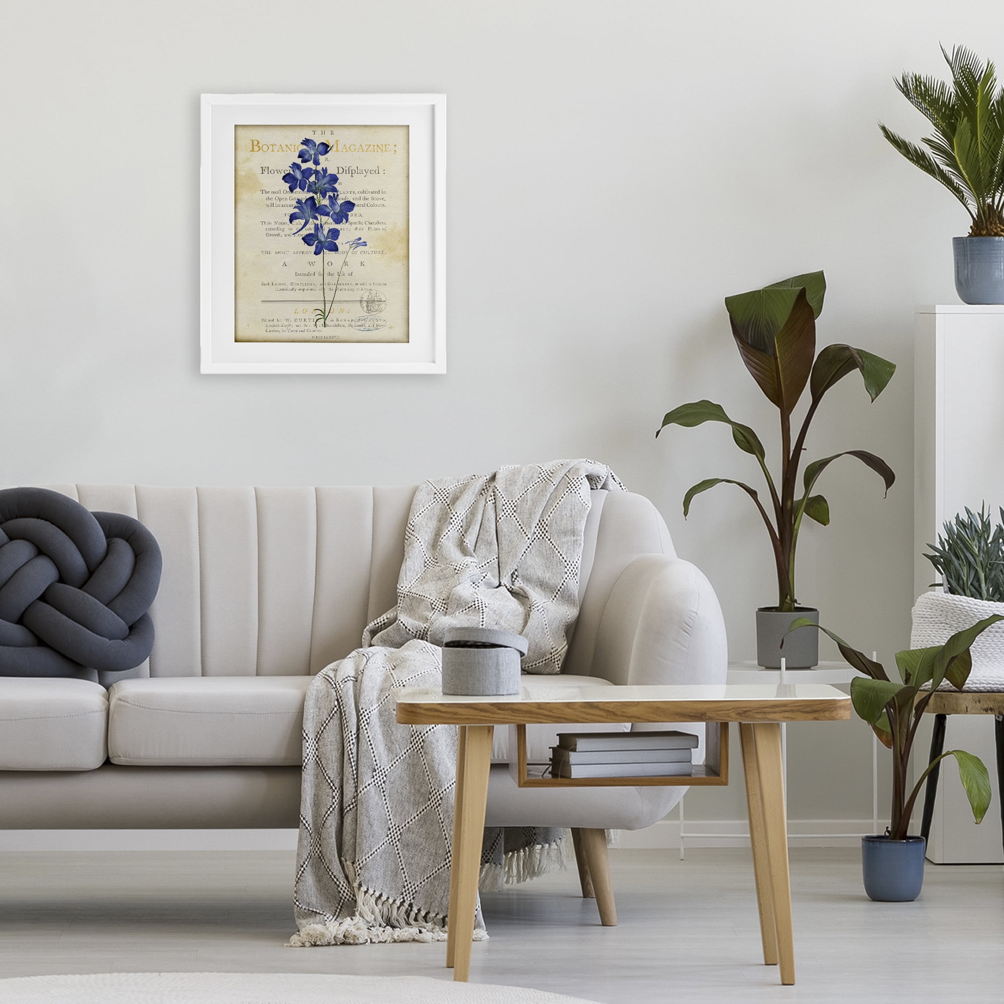 Stupell Industries Natural Botanic Garden Flower White Framed Print Under Glass, design by Susan Arnot