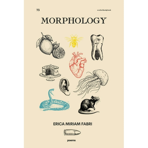 Morphology, (Paperback)