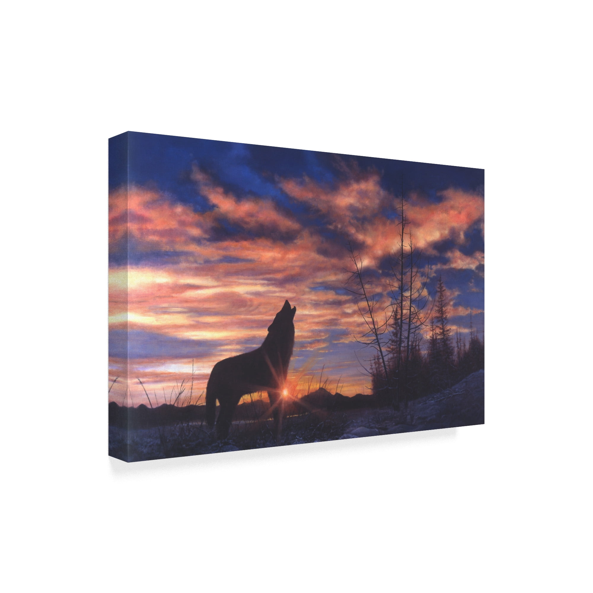 Trademark Fine Art 'Sky Wolf' Canvas Art by Bill Makinson