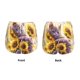 thumbnail image 3 of Balery Daisy Sunflower Lazy Cat Pantalones cortos deportivos para mujer con forro y dos bolsillos, elásticos, para entrenamiento, gimnasio, yoga-Small, 3 of 7