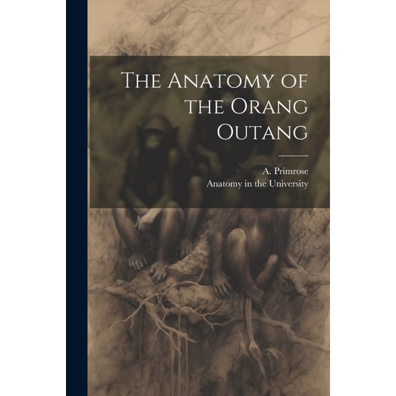 The Anatomy of the Orang Outang (Paperback)