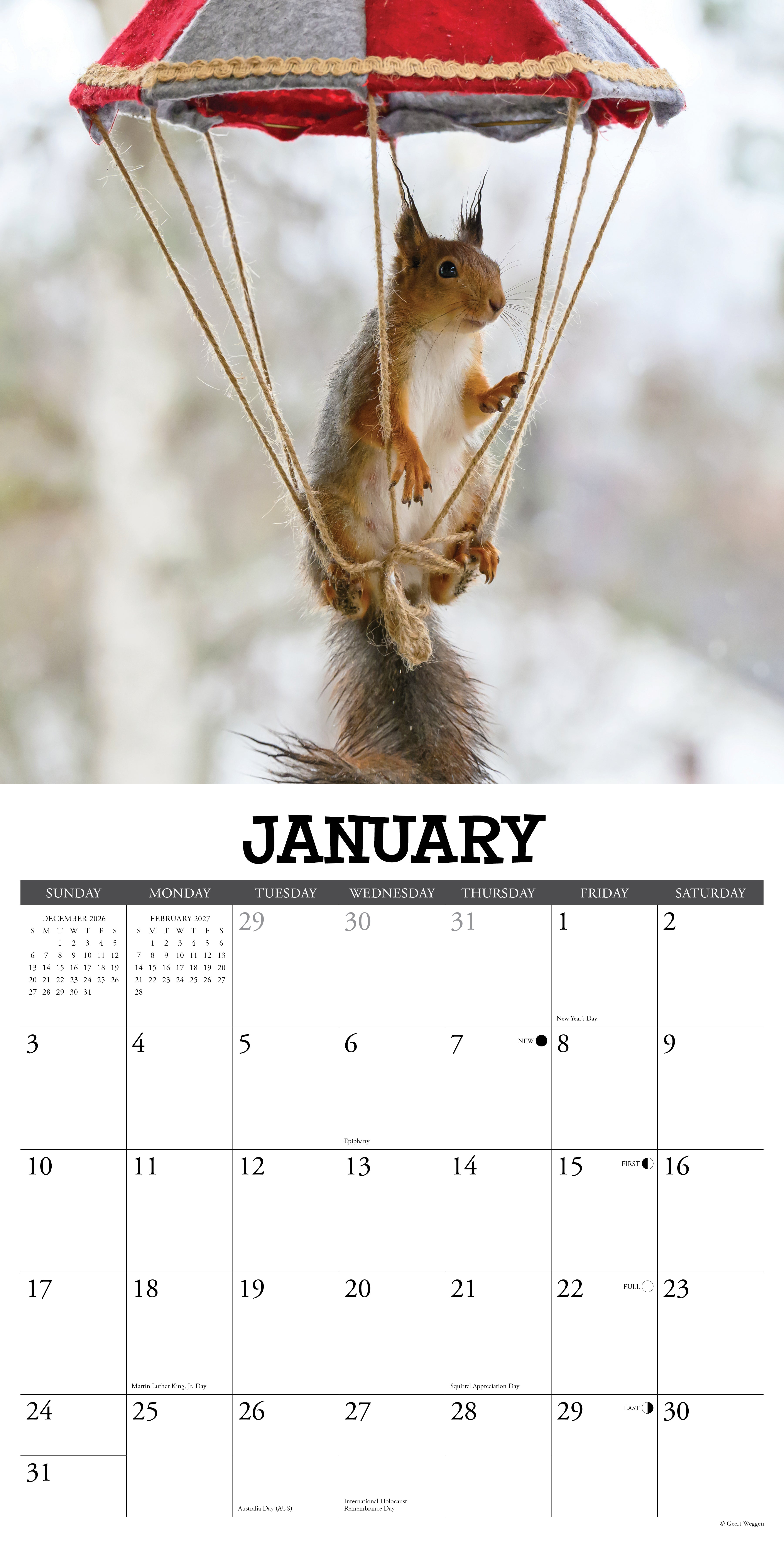 Willow Creek Press, Gettin' Squirrelly 2027 Wall Calendar