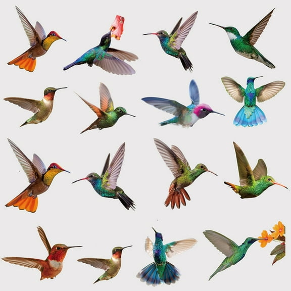 Hummingbird Window Clings - 19 Pieces Large Size Self-Adhesive Hummingbird Stickers, Anti-Collision Window Clings Decals to Prevent Bird Strikes