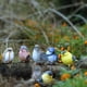 thumbnail image 1 of Juego de 6 estatuas de jardín urraca pájaros decoración adornos simulación para amantes de la jardinería Premium lindo surtido miniatura regalo de ina Baoblaze estatuas de aves, 1 of 8