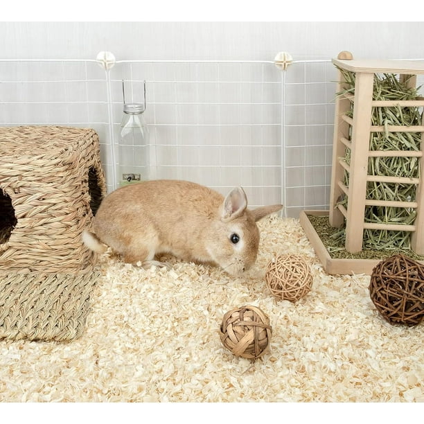 Pine Shavings Wood Shavings Chicken Coop Bedding All Natural  Chicken Coop Chicken Bedding Pet Bedding Small Animal Bedding Odour 