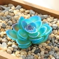 thumbnail image 2 of Mini Artificial Succulents Simulation Plant Bonsai for Desktop Home Garden Decor, 2 of 9