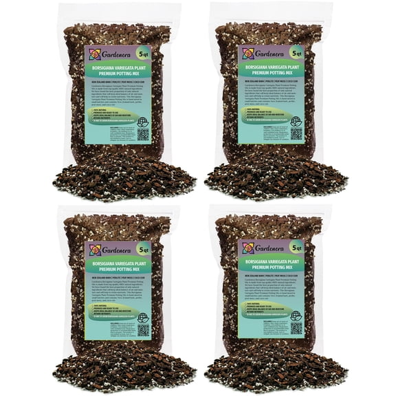 ⭐ PREMIUM Monstera Borsigiana Soil Mix - Trusted by Horticulture Experts for Strong and Healthy Plants by Gardenera - 20 Quart (4 Bags of 5 Quart)