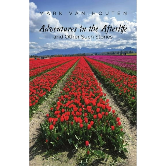 Adventures in the Afterlife and Other Such Stories, (Paperback)