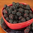 thumbnail image 5 of Navaho Blackberry Bush 3 Gallon, 5 of 6