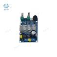 TPA3116 Subwoofer Amplifier Board TPA3116D2 Audio Amplifiers 100W Bass