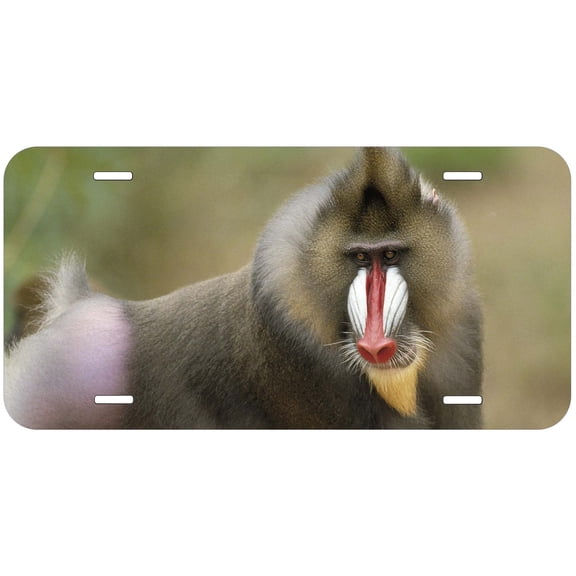 Monkey TAG30 Novelty Car Auto License Plate