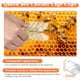 thumbnail image 4 of Kit de Marcado de Abeja Reina de 11 Piezas con para Marcar Abeja Reina Rotuladores Abeja Reina de Plástico para Suministros de Apicultura, 4 of 5