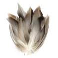 thumbnail image 1 of Material Plumas para Atar Moscas Plumas Pato Manchadas Material para Y Colas Moscas, 1 of 9