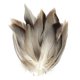 thumbnail image 1 of Material Plumas para Atar Moscas Plumas Pato Manchadas Material para Y Colas Moscas, 1 of 9
