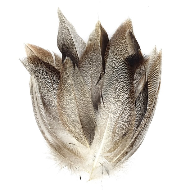 Material Plumas para Atar Moscas Plumas Pato Manchadas Material para Y Colas Moscas