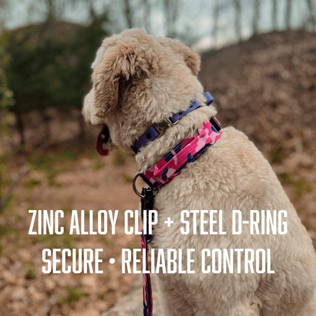 Boss Dog Tactical Collar, Pink Camo, Medium