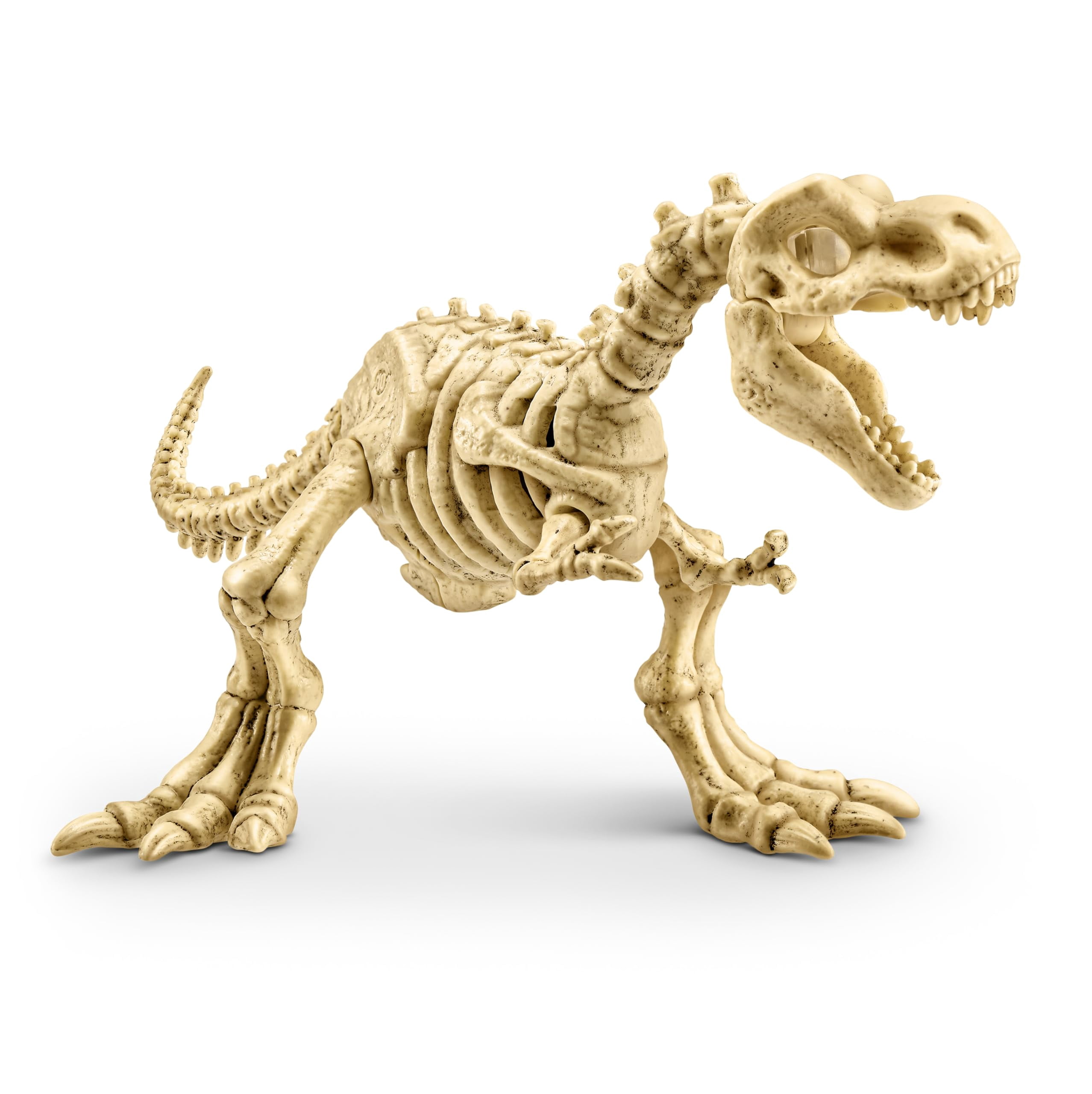 Robo Alive Fossil Find! AMBER ADVENTURE Mystery Pack (RANDOM DINO)