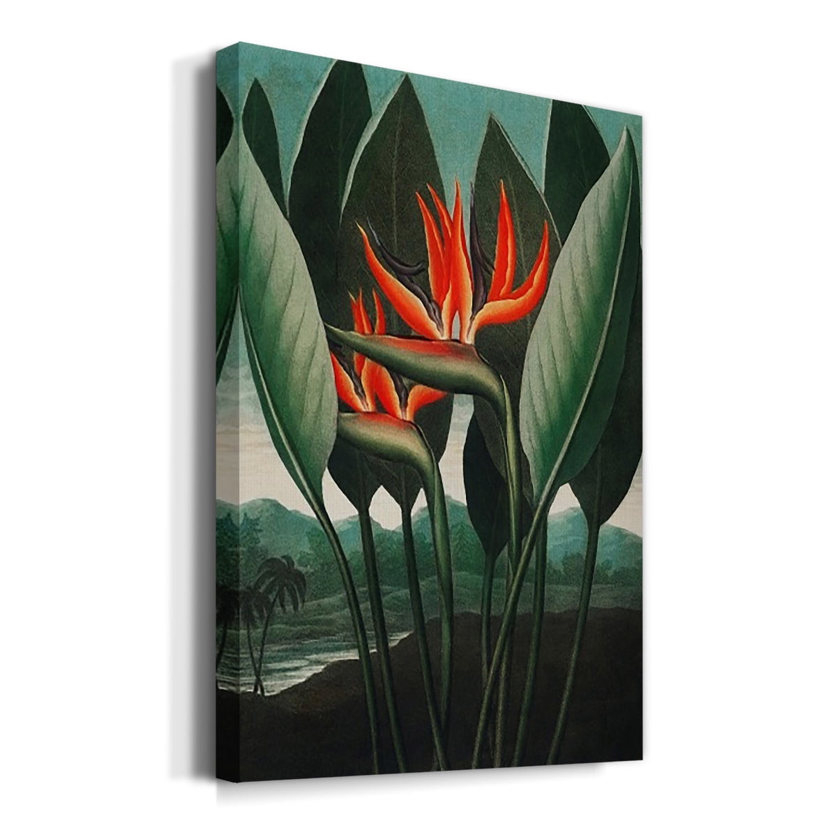 Temple of Flora IV Premium Gallery Wrapped Canvas - Ready to Hang