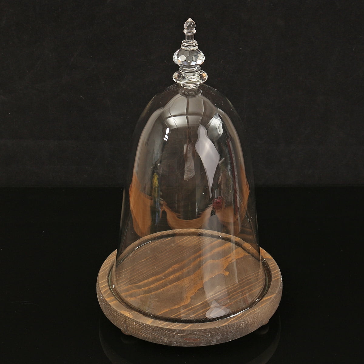 Glass Dome with Wood Base LED Light Round Bell Jar Clear Cloche Display