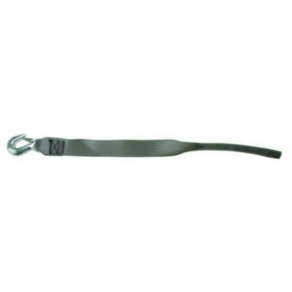 Immi F14214 2 in. x 15 ft. Winch Strap with Tail End