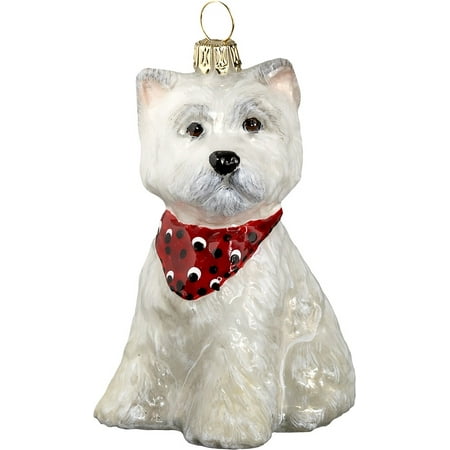 west highland terrier westie puppy bandana dog polish west highland terrier westie puppy bandana dog polish