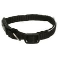 Pet Champion Dog Collar Small Black, 1.0 CT